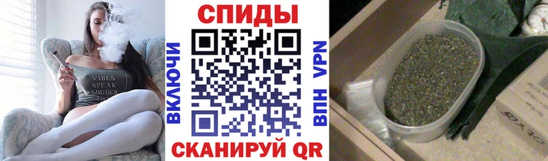 БУТИРАТ 99%  Купить где  Новоульяновск 