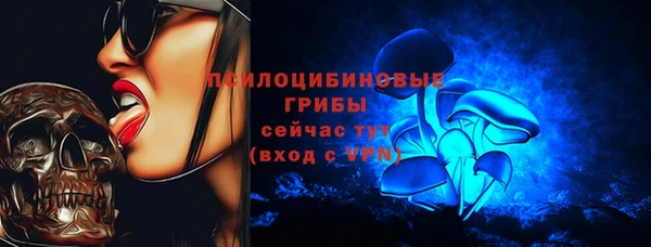 гидра Верея