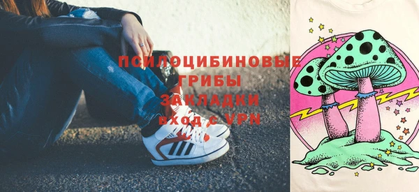 соль ск Верхний Тагил
