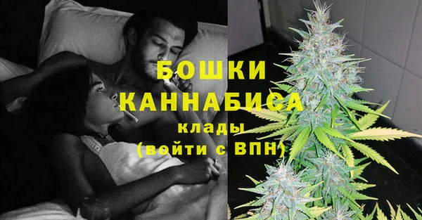 гидра Верея