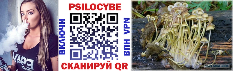 Купить  Новоульяновск  Псилоцибиновые грибы Cubensis 